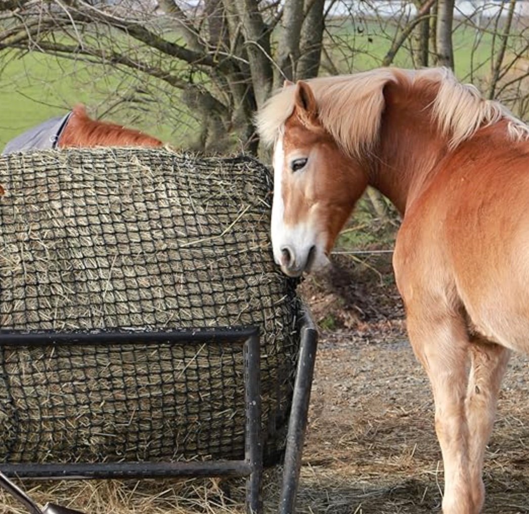 #wholesale horse equestrian nylon hay net health horse slow feeder #custom feed hay nets #round slow hay feeder net